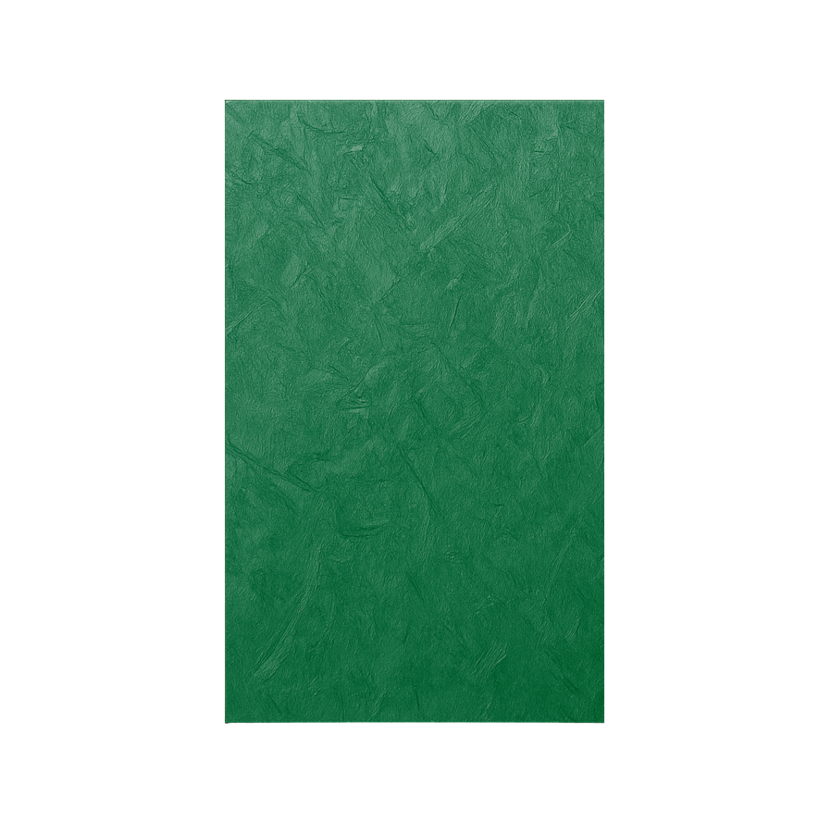 osbtv OSB TAPUME Verde 1,22 x 2,20mts 10mm