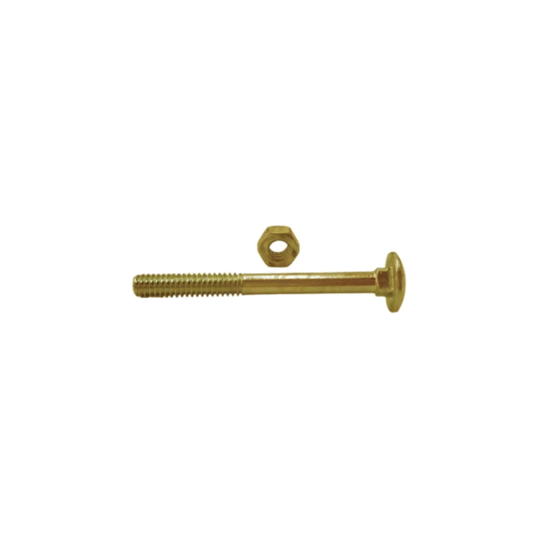 Bulón Cabeza Redonda Cuello Cuadrado Dorado 1/4x 3 | Bolsa de 100 Unidades - Image 3