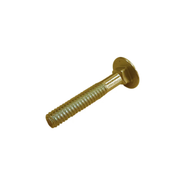 Bulón Cabeza Redonda Cuello Cuadrado 1/4x 1 X 20u Dorado - Image 2