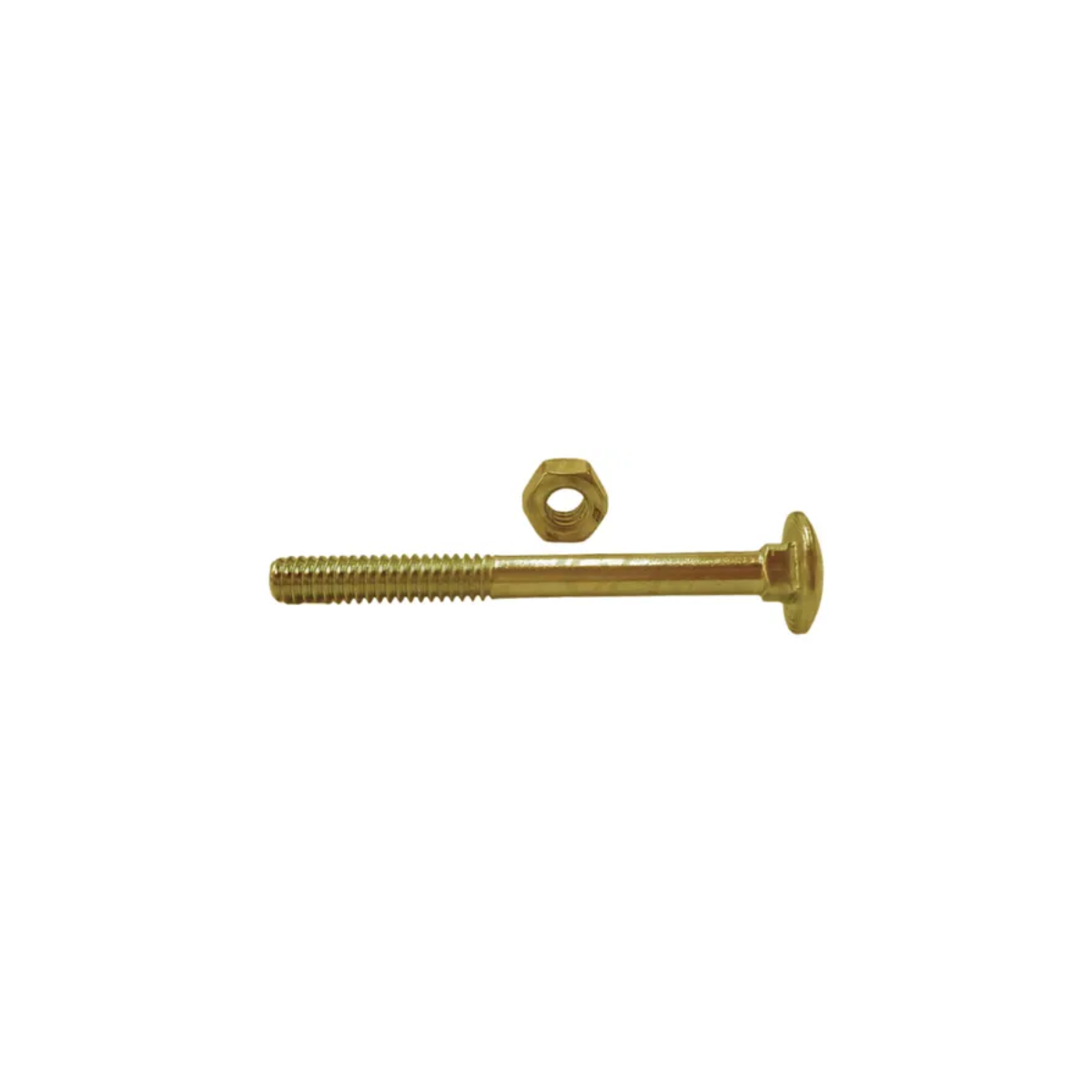 Bulón Cabeza Redonda Cuello Cuadrado 1/4x 3 X 50u Dorado - Image 3